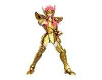 Aquarius Camus (75009) - Saint Seiya Champion Class - Blokees