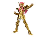 Aquarius Camus (75009) - Saint Seiya Champion Class - Blokees